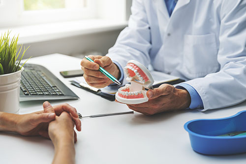 doctor holding a mode of a tooth